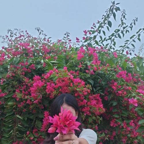 iamdisma