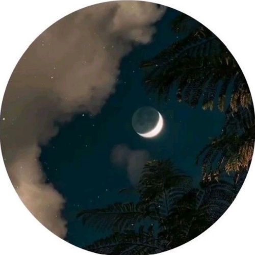 moon_light