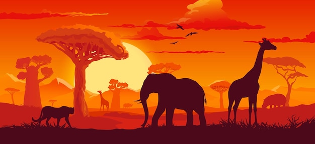 African animals 
