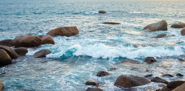 Ocean Quiz