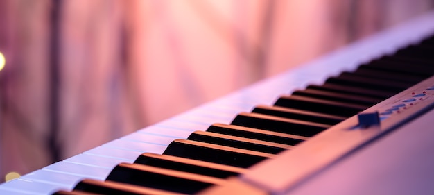 Musical Instruments: PIANO ( Chapter 2 )