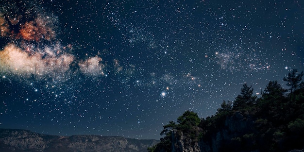 Stars of the Night Sky