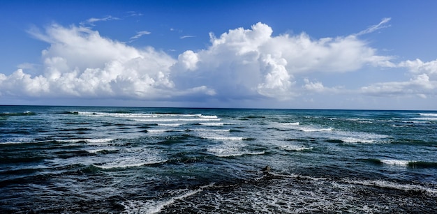 Ocean Quiz: Part 2