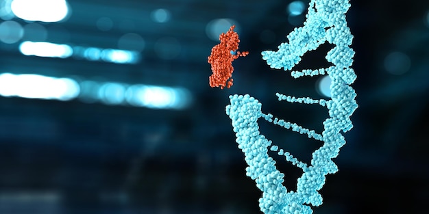 Genotype and Sickle Cell Quiz