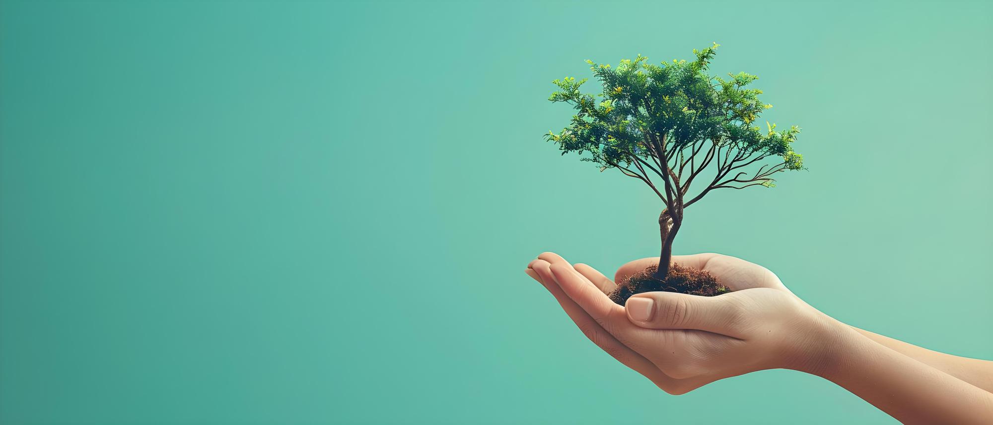 Environmental Awareness 