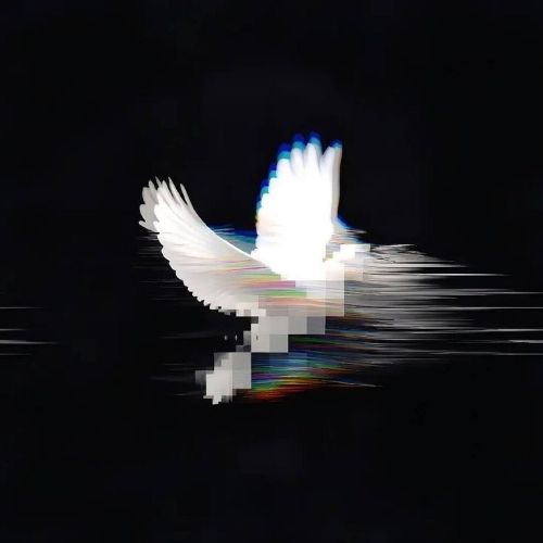 phoneix_07