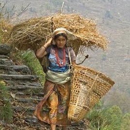 santosh.pokharel123