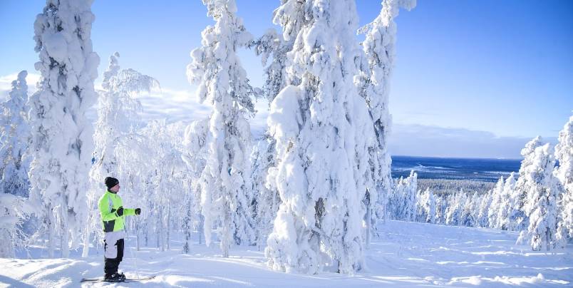 🇫🇮 Finland