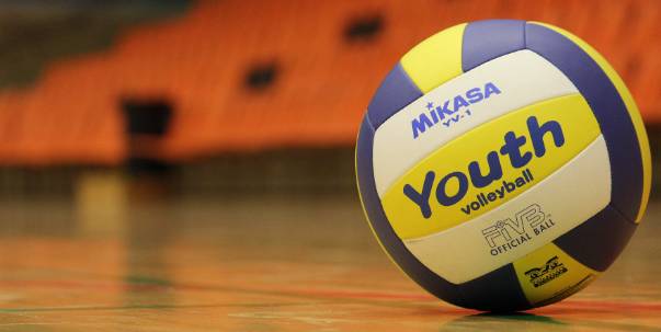Volleyball ( Pt. 2 )