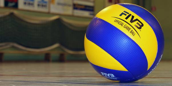 Volleyball ( Pt. 1 )