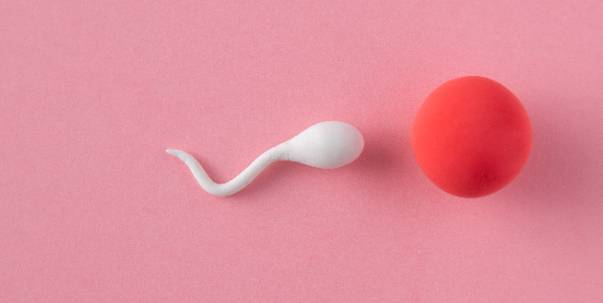 Sex education ( Pt.3 )