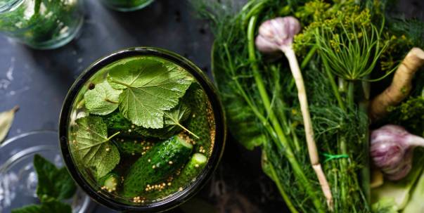 Are you a vegetable expert?