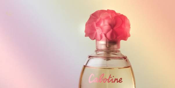 Perfumes ( Pt.4 )