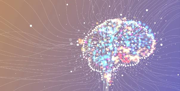 Brain & Nervous System 