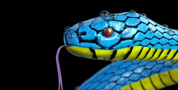 All about snakes