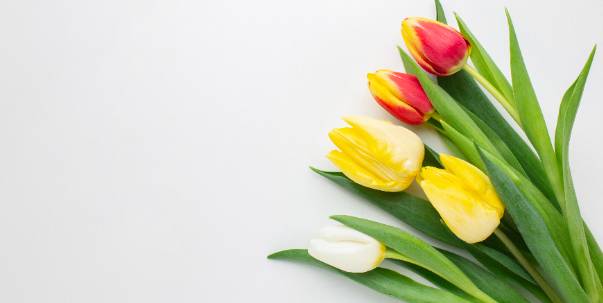 Guess the Flower