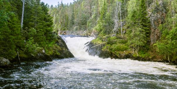 Rivers ( Pt.4 )