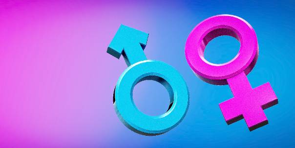 Gender and Sex ( NSFW )