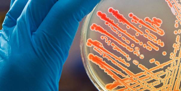 Microbiology ( Pt.2 )