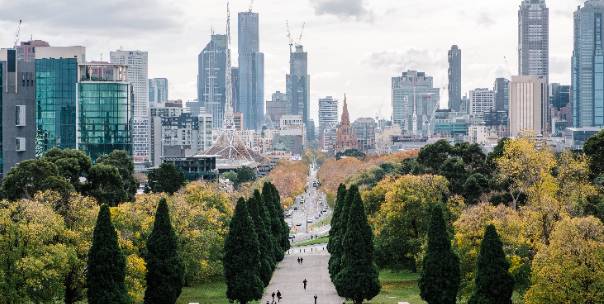 Guess the Capital ( Pt.1 )