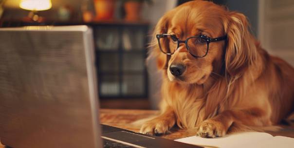 Dog breeds