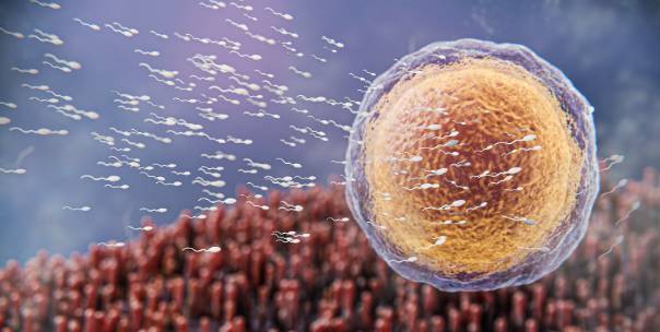 Celland Tissue