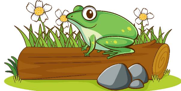 Living Things ( For kids )