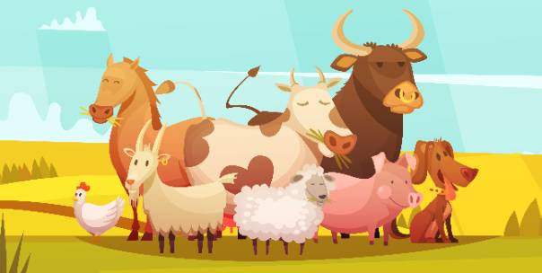 Farm animals ( For kids )