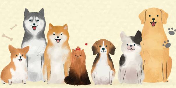 Animals and Their Sounds ( For kids )