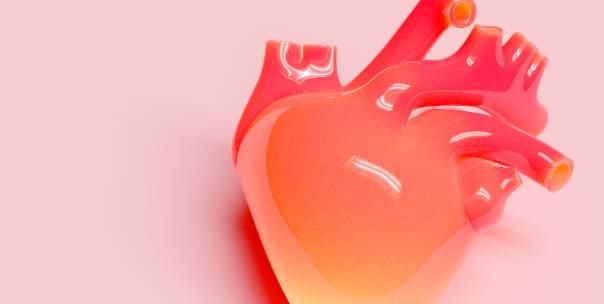 Heart