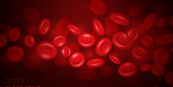 Blood