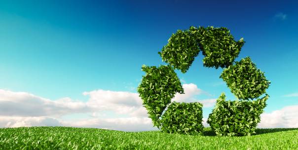 Natural Resources ( Pt.2 )