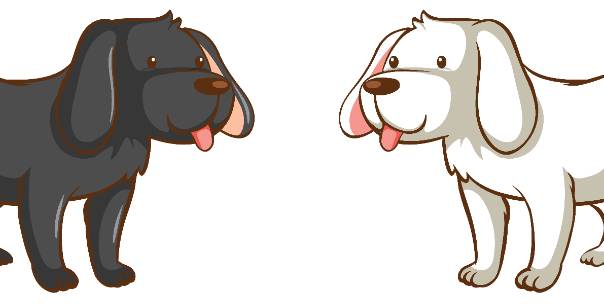 Opposites