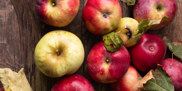 All about Apples 