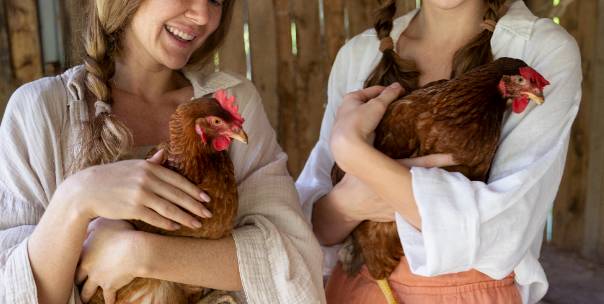 Guess the Domestic Animals