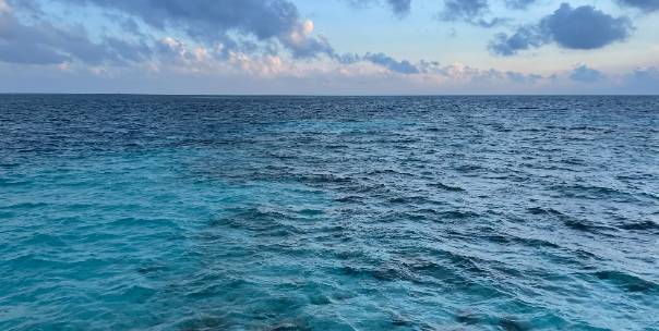 Ocean 