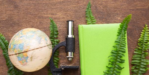 Plants and Their Role in the Ecosystem