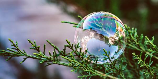 Nature & Environment (IQ)