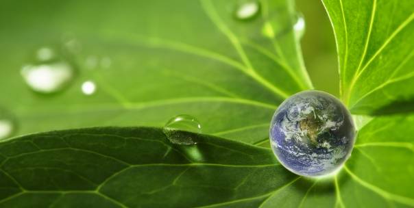 Mother Earth 