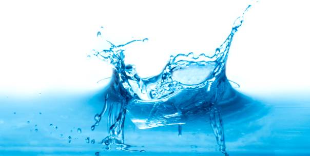 Water Wise? Are You Smarter Than a Glass of Water?