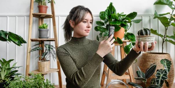 Guess the parts of plant