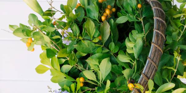 Herbs & shrub plants 
