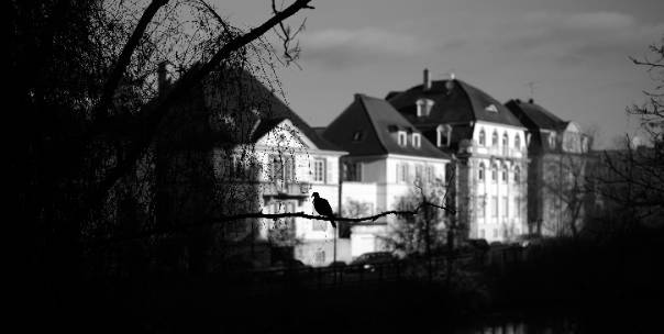 Mysterious and Creepy Places
