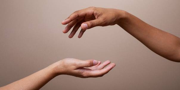 Human Body Parts: Function