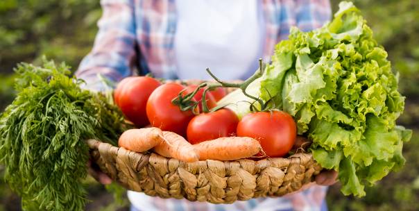 Food & Agriculture