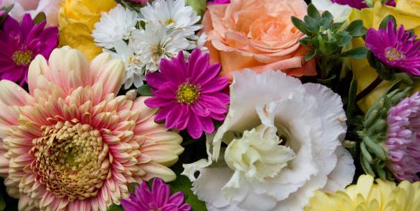 Guess The Flower