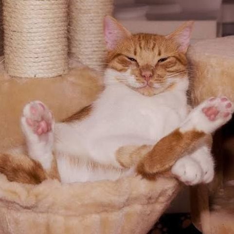 bharat9845054470td23