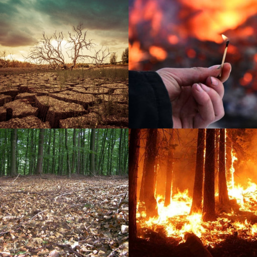 HICH:300 forest fire cases in last 2 months in Nepal, what are the main factor impacting it? 
#forestfire