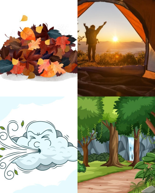 HICH:What is the causes of forest fire in Nepal ?