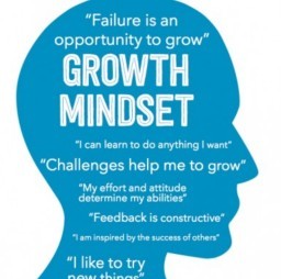 HICH:Which mindset best reflects how you approach everyday life?